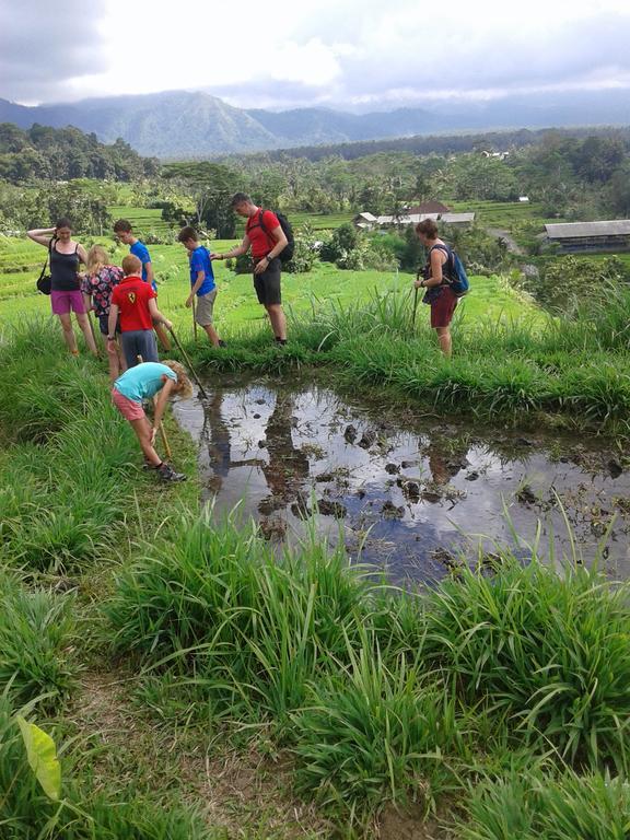 Pondok Lembah Dukuh Homestay Каранґасем Екстер'єр фото